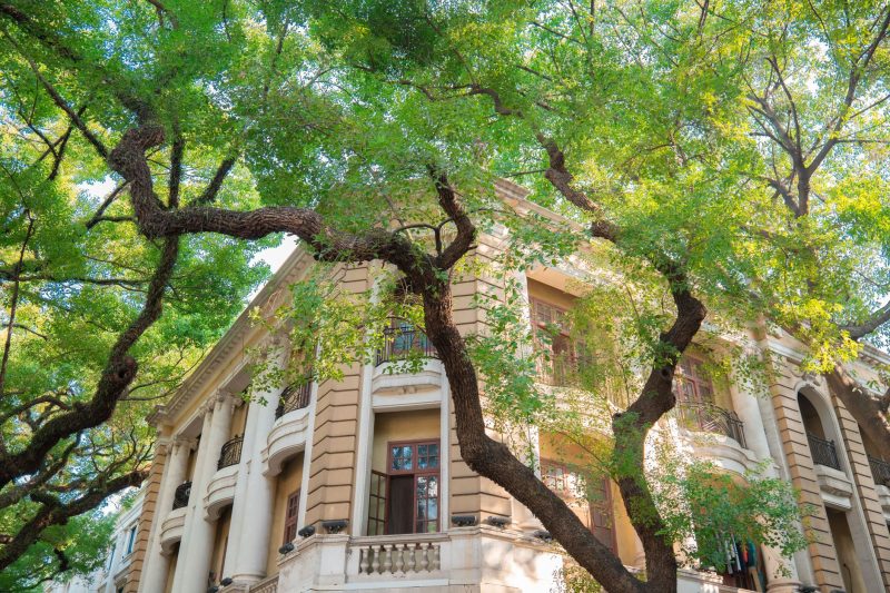 Classic architectural building surrounded by lush green trees in a serene outdoor setting.